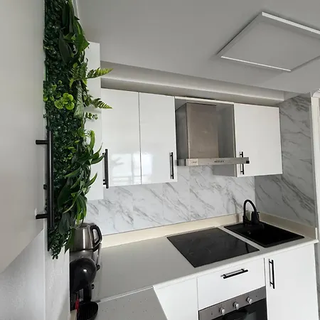 Coral 319b Calpe