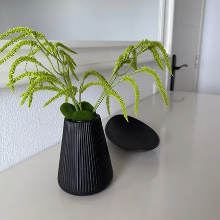 Apartment Coral 319b